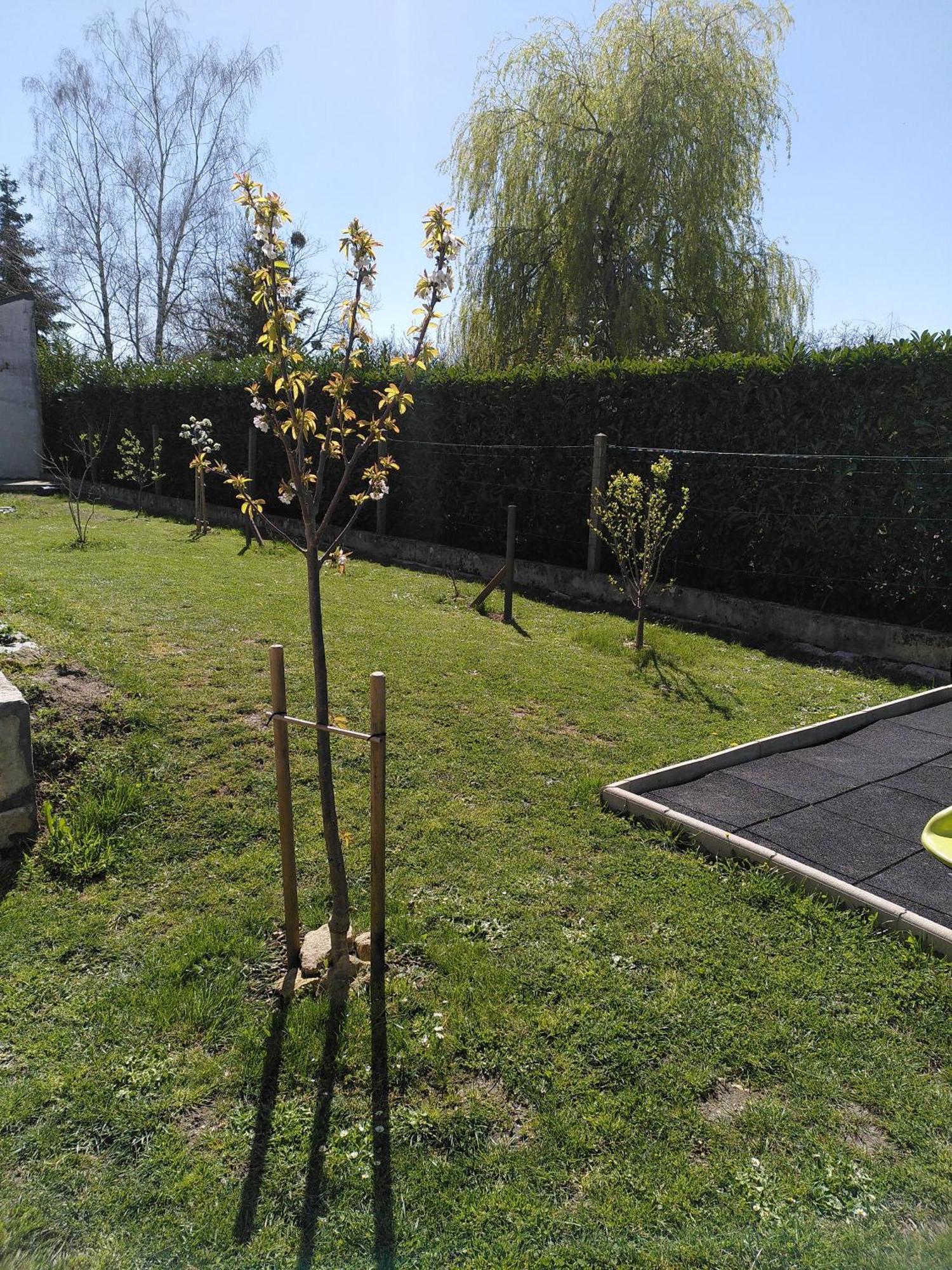 Au Fil Du Temps Bed & Breakfast Amboise Exterior photo